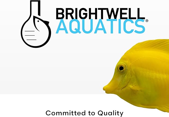 Brightwell Aquatics MicroBacter Clean - Microbial Culture & Enzyme Blend Fish Tank Cleaner - Cleans Live Rock Surfaces for Saltwater Fish Habitats - Aquarium Water Treatments, 33.8 fl oz