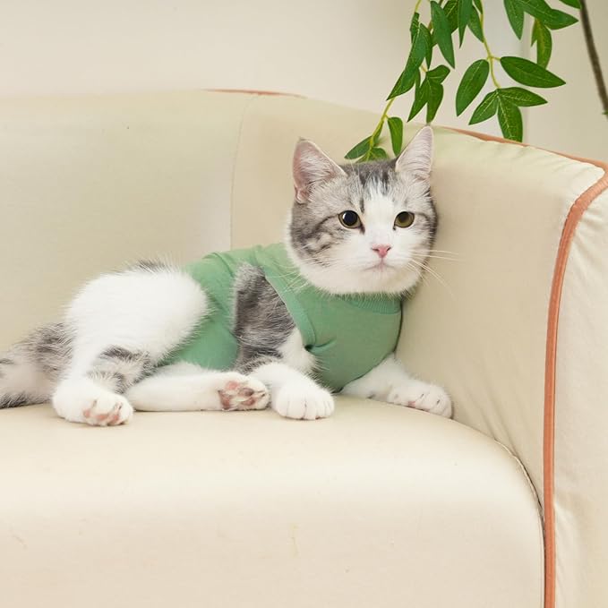 Cat Surgery Recovery Suit Professional for Surgical Abdominal Wound Or Skin Diseases E-Collar Alternative for Cats After Surgery Wear Pajama Suit (Green, Large)
