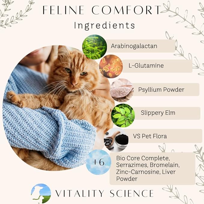 Feline Comfort for Cats | Maintains a Healthy Intestinal Tract and Proper Gut Flora | Restores Gastric Stability | for Vomiting and Diarrhea | 100% Additive Free (Beef, 220g)