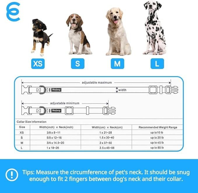 Blueberry Pet Essentials X-Small Dog Collar in Turquoise | Adjustable & Eco-Friendly Durable Nylon Strap | Classic Collar for X-Small Dogs, Boy & Girl Pets