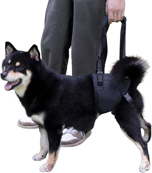 Dog Lift Harness for Dogs with Disabled Arthritis and Weak Back Legs, humanized Design with Comfortable Materials, Adjustable Back Legs and Straps, Suitable for Helping Dogs to Recover and Walk. (S)