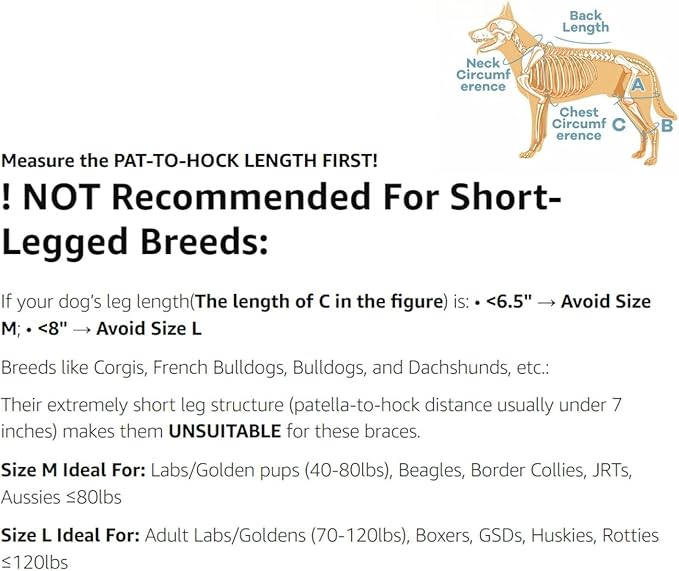 Dog Knee Brace with Adjustable Support – ACL & CCL Tear Recovery, Post-Surgery Stabilization, Mobility Aid for Rear Legs – Includes Secure Chest Harness for Dogs(Both Legs,L)