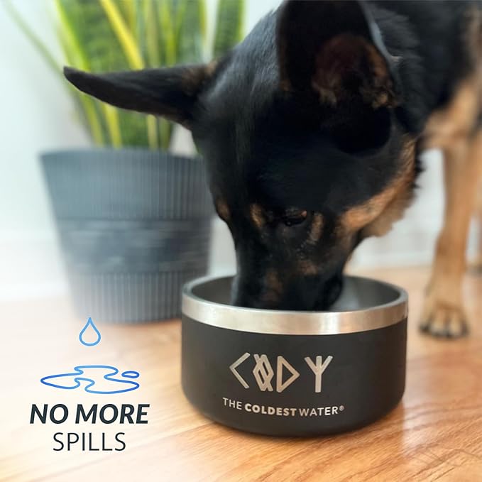 Coldest Dog Bowl - Anti Rust Metal, Non Slip, 3 Layers Insulated Stainless Steel Dog Bowls - Spill Proof & Heavy Duty - Water Bowl for Dogs, Cats & Pets, Dish Washer Safe (42 oz, Stardust Glitter)