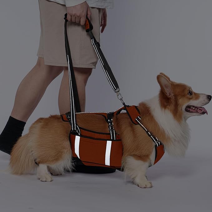 COODEO Mobility Dog Lift Harness, Emergency Carry Sling, Pet Rear Leg Support Rehabilitation Lifts Vest, Dog Carrier for Senior Dogs Joint Injuries, Arthritis (Orange, XL)