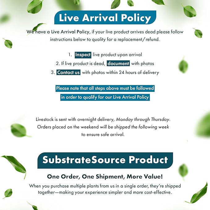 Live Plants - Echinodorus ‘Green Chameleon’ (Echinodorus sp.) - Medium to High Light, Green Red Accent, Midground to Background Placement, Freshwater Aquatic Plant - Pot