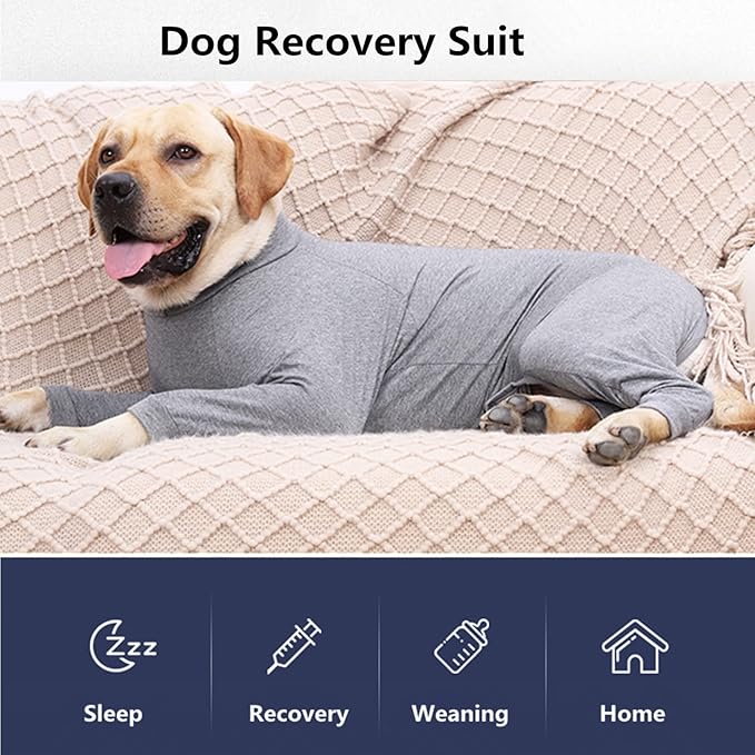 Dog Recovery Suit, Abdominal Wound After Surgery Wear, Prevent Licking Wounds, E-Collar & Cone Alternatives, Long Sleeve Postoperative Shirts Dog Bodysuit Prevent Shedding(Small, Grey)