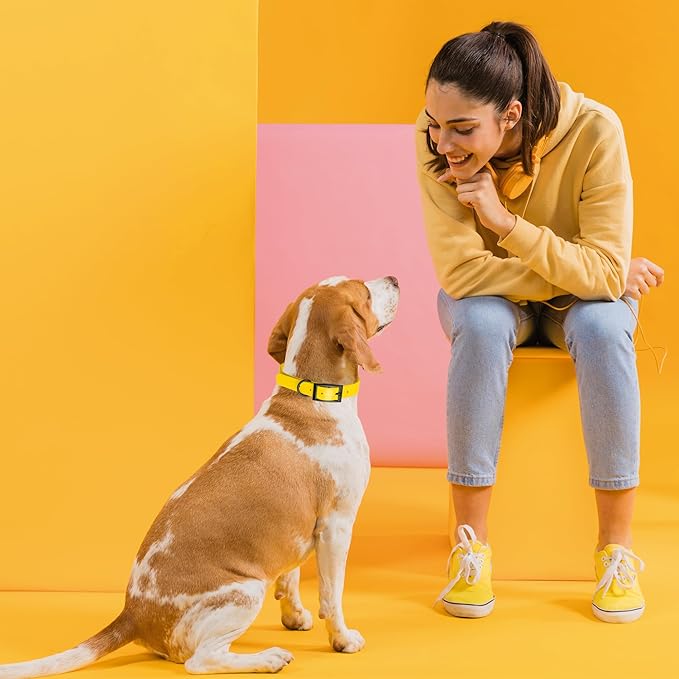 Dogline Biothane Waterproof Dog Collar Strong Coated Nylon Webbing with Black Hardware Odor- Proof for Easy Care Easy to Clean High Performance Fits Small Medium or Large Dogs, Lemon Yellow