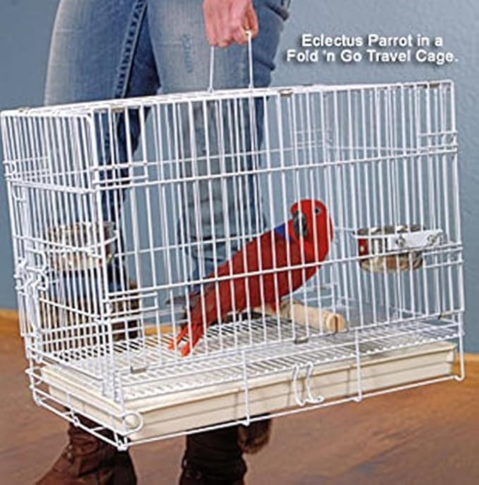 Durable Easy Portable Metal Travel or Veterinary Collapsable Parrot Bird Carrier Beaks Proof Cage with Stainless Steel Feeder Bowls Natural Wooden Perch Stand