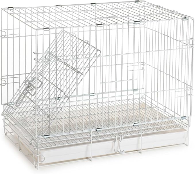 Durable Easy Portable Metal Travel or Veterinary Collapsable Parrot Bird Carrier Beaks Proof Cage with Stainless Steel Feeder Bowls Natural Wooden Perch Stand