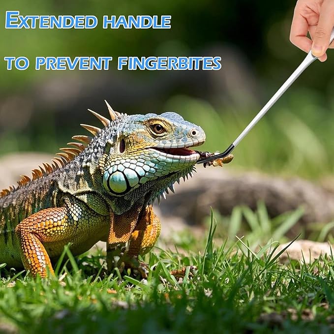 5 Pcs Reptile Feeding Tools Set with Silicone Tips - Extra Long Straight&Curved Tongs, Spoons, Scissors - Stainless Steel Terrarium Feeder Kit for Bearded Dragons, Lizards, Snake, Spiders, Aquarium