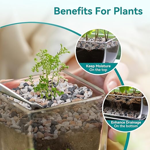 5 lbs Small Rocks for Succulents, 1/5 Inch Pebbles for Indoor Plants, Decorative Pea Gravel for Terrarium, Vases, Aquariums, Fish Tank, Drainage Rocks for Potted Plants, Bamboo,Crafts, Cactus