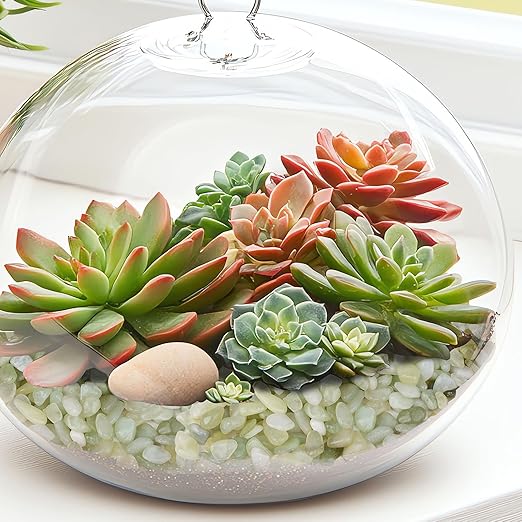 5 lbs Jade Pebbles for Indoor Plants, 1/5 Inch Succulent and Cactus Pebbles, Decorative Gravel for Vases, Bamboo,Terrarium, Crafts, Cactus