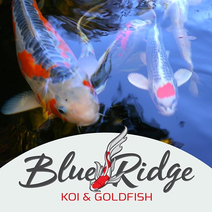 Blue Ridge Koi Fish Food 50lb - Platinum Pro Formula Goldfish Food, Premium Pond Pellets