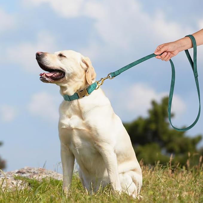 Didog Soft PU Leather Dog Collar, Stylish Quick Released Dog Collars for Large Dogs, Easy Clean Adjustable Pet Collar for Daily Walking, Green, XL Fit 17-27" Neck