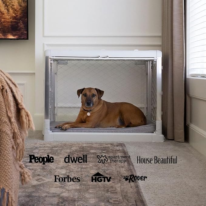 DIGGS Revol Collapsible Dog Crate with Wheels - Premium Portable Dog Crate - Safe, Stylish, and Convenient Indoor Kennel (Ash, Large)