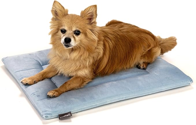 KindTail Dog Crate Pad - Soft Velvet, Reversible Bed - Machine Washable Kennel Mat for Pets up to 15 lbs, Mattress for Cozy Sleeping - 20” x 15” x 1” (Light Blue, Small)