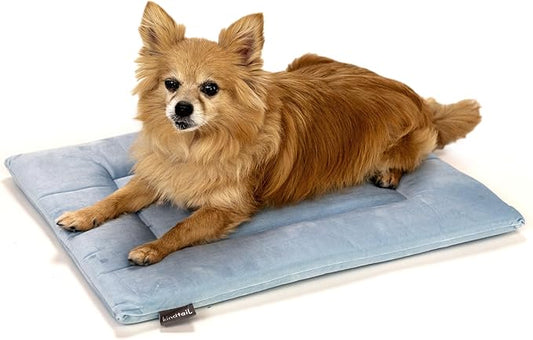 KindTail Dog Crate Pad - Soft Velvet, Reversible Bed - Machine Washable Kennel Mat for Pets up to 15 lbs, Mattress for Cozy Sleeping - 20” x 15” x 1” (Light Blue, Small)