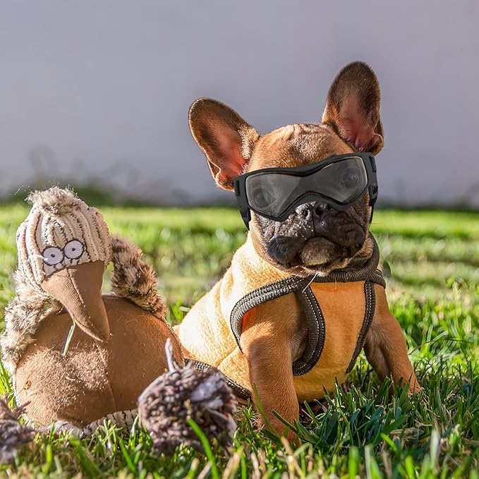 QUMY Dog Goggles UV Protection for Small to Medium Breed, Dog Sunglasses Windproof Anti-Fog Dustproof Snowproof, Puppy Glasses for Outdoor Riding Driving with Comfortable Frame Adjustable Straps
