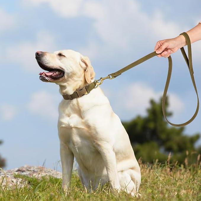 Didog Soft PU Leather Dog Collar, Stylish Quick Released Dog Collars for Large Dogs, Easy Clean Adjustable Pet Collar for Daily Walking, Dark Green, XL Fit 17-27" Neck