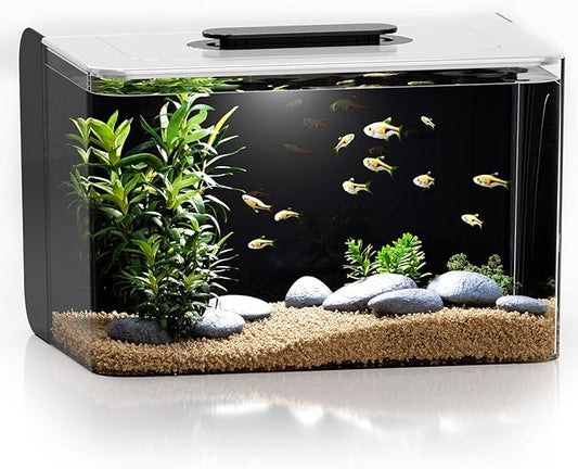 Betta Fish Tank, 2.5 Gallon Aquarium Kit with Filter, Light, Self Cleaning, Oxygenation, Small All in One Starter Fish Tank for Goldfish, Guppy, Shrimp, Desktop, Acrylic