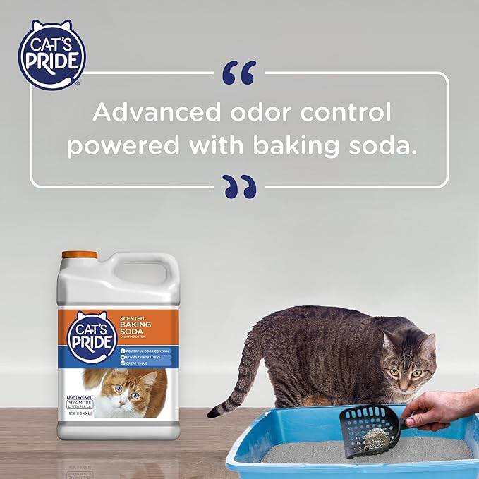 Cat's Pride Lightweight Clumping Litter: Baking Soda - Powerful Odor Control - Scented, 10 Pounds