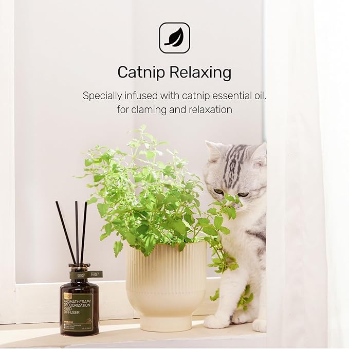 Reed Diffuser for Pet Odor Elimination, White Rose, Non-Toxic & Pet-Friendly Air Freshening, 6 Oz