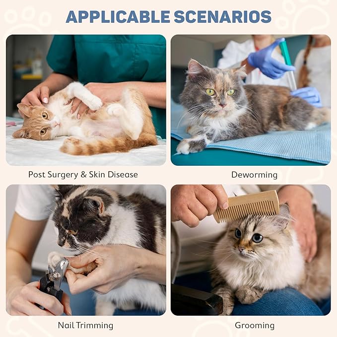 Avont Soft Cat Recovery Cone Collar, Adjustable Lightweight Kitten E-Collar for Small Dogs, Comfortable Neck Donut Stop Licking Scratching After Surgery -Grey(L)