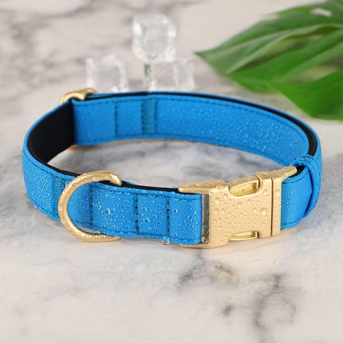 Didog Soft Padded Dog Collars for Medium Dogs, Colorful and Durable Dog Collar with Quick Release Buckle, Light and Breathable for Daily Walking, Blue, M