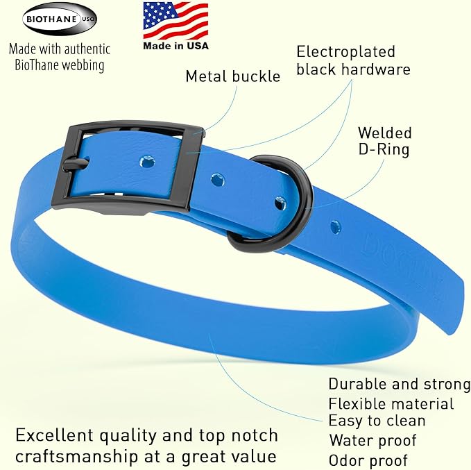 Dogline Biothane Waterproof Dog Collar Strong Coated Nylon Webbing with Black Hardware Odor- Proof for Easy Care Easy to Clean High Performance Fits Small Medium or Large Dogs, Cerulean Blue