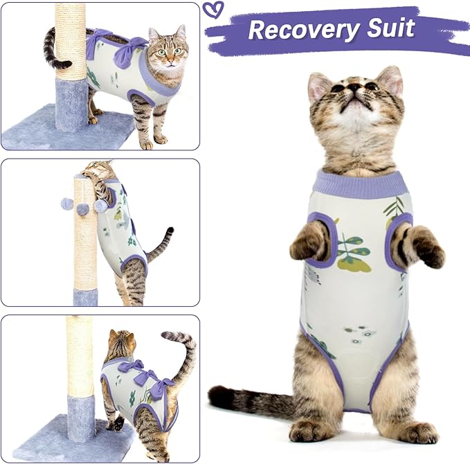 DENTRUN Cat Surgery Recovery Suit Anti Licking Spay Snuggly Vest, Pet Surgical Recovery Shirt After Surgery for Male Female Cat Small Dog Cone E-Collar Alternative