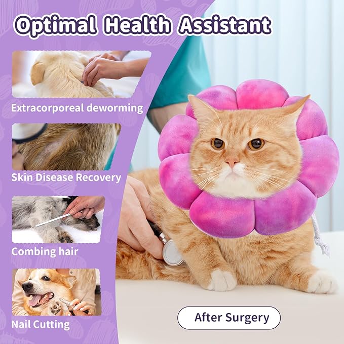 Dog Cat Surgical Recovery Cone, Pet Protective Collar, Soft Neck Cone to Stop Licking Wound for Cats & Kittens, Small Dogs After Surgery