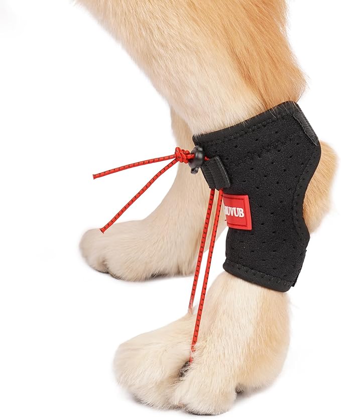 Canine Dog Knuckling Brace Rear Leg Dog Foot Brace Wrap for Toe Dragging Cause by Sciatic Nerve Insufficiency, Myelopathy, Herniated Disc (Large)