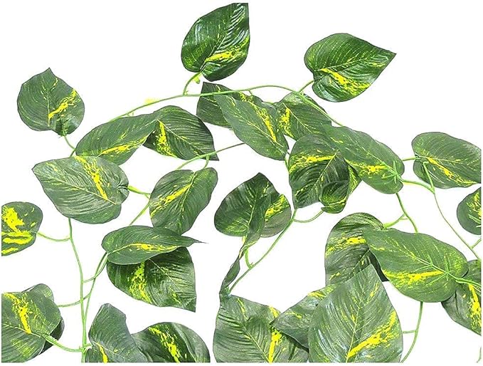 Boa Constrictor Habitat 10 Gallon Terrarium Kit