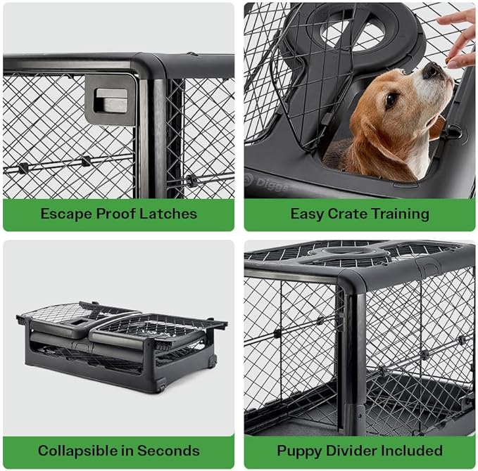 DIGGS Revol Collapsible Dog Crate with Wheels - Premium Portable Dog Crate - Safe, Stylish, and Convenient Indoor Kennel (Charcoal, Medium)
