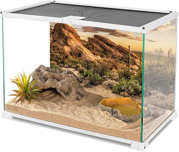 AWERT Reptile Habitat Background Blue Sky Oasis Cactus Sun and Desert Terrarium Background 24x12 inches Durable Polyester Background