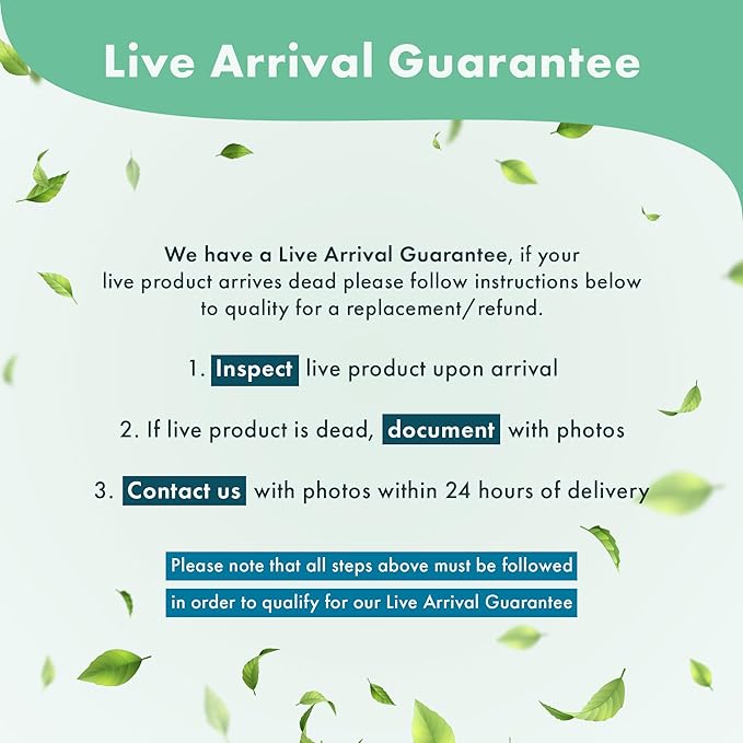 Anubias Live Aquarium Plants - Potted Freshwater Plant for Fish Tanks, Terrariums - Beginner Friendly Low Light (Congensis, 1 Pot)