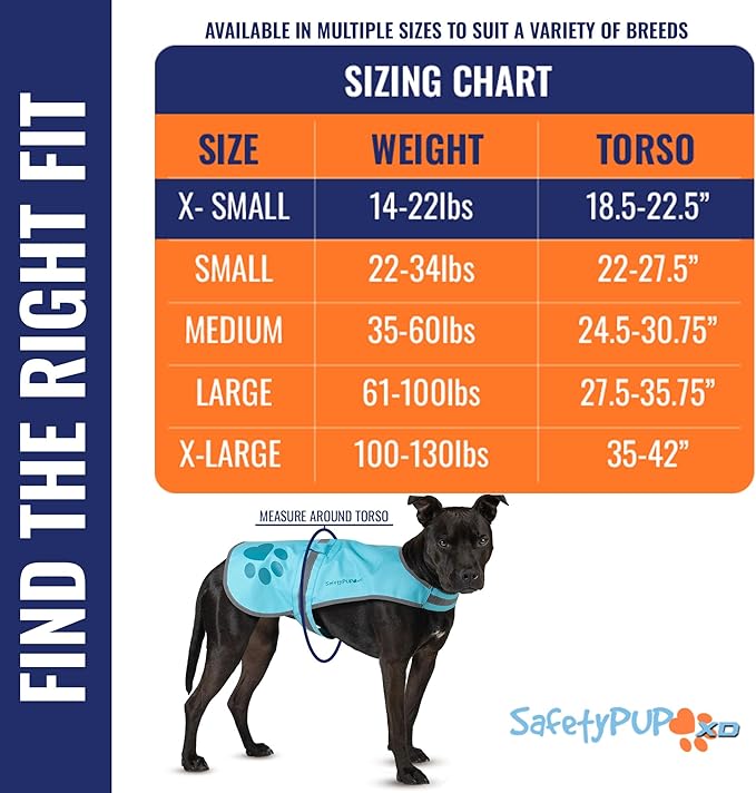 Dog Reflective Vest – Hi-Vis Fluorescent Visibility That Helps to Safeguard Your Pet On/Off Leash in Urban & Rural Areas (Teal, X-Small)