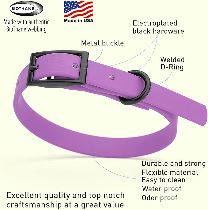 Dogline Biothane Waterproof Dog Collar Strong Coated Nylon Webbing with Black Hardware Odor- Proof for Easy Care Easy to Clean High Performance Fits Small Medium or Large Dogs, Amethyst Purple