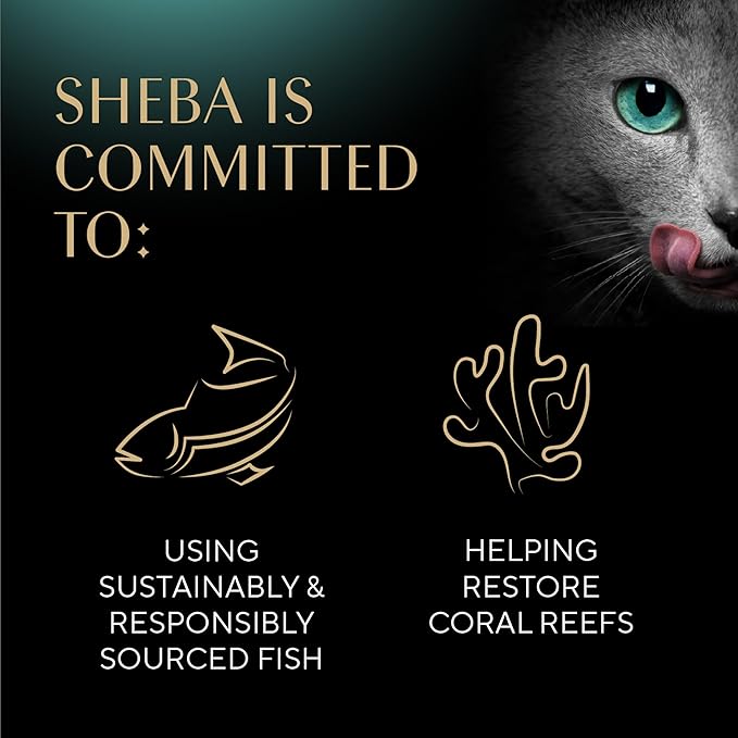 Sheba Gravy Indulgence Adult Wet Cat Food Salmon Entree in Extra Gravy, 2.6 oz. Twin-Pack Trays (24 Count, 48 Servings)