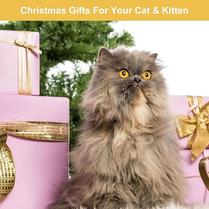 Cat Feather Toys, 14PCS With 2 Slots Super Suction Cup, Detachable 2PCS Wand & 11PCS Replacement Teaser Refills With Bell, Interactive Toy for Indoor Cats Kitten Play Exercise