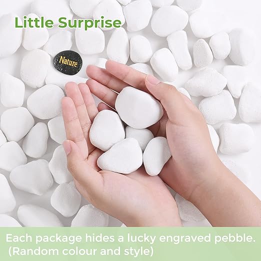 SIDONG 10 lbs White River Rocks, 1.2-2 Inches Matte Pebbles for Indoor Plants, Aquarium Rocks Used in Fish Tank, Decorative Stones for Plants, Vases, Home Décor, Crafting, Garden Landscaping