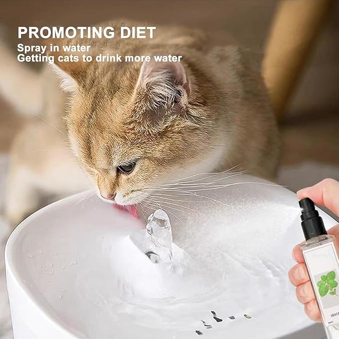 Kitty Joy Herbal Cat Joy, Herbal Cat Joy Spray, Celery Pets Catnip Spray, Catnip Spray for Indoor Cats, Cat Calming Spray, Anti Scratch Cat Spray, Cat Training Spray with Catnip, Cat Nip Spray (5PCS)