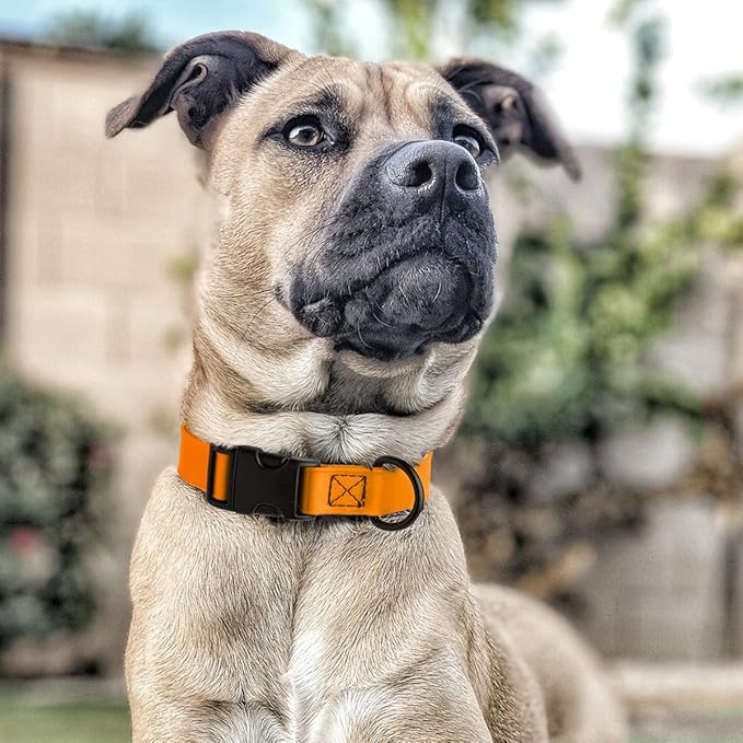 Dogline Biothane Waterproof Dog Collar with Quick Release Buckle Strong Coated Nylon Webbing with Odor- Proof for Easy Care Easy to Clean Fits Small Medium Large Dogs, Tangerine Orange 1" W 15-23" L