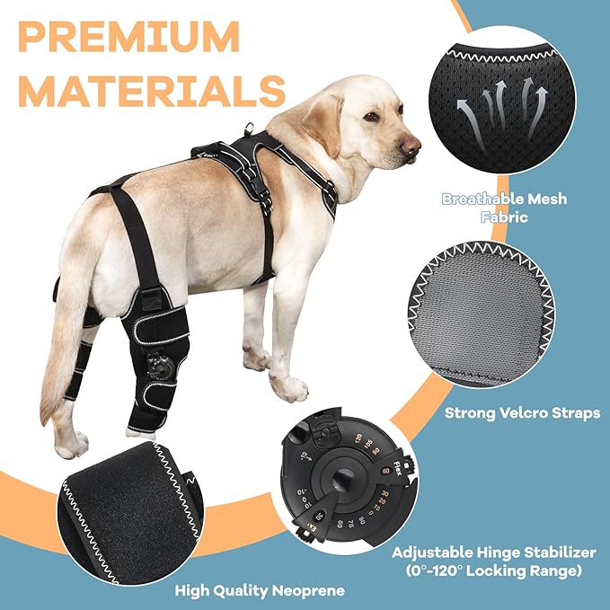 Dog Knee Brace with Adjustable Support – ACL & CCL Tear Recovery, Post-Surgery Stabilization, Mobility Aid for Rear Legs – Includes Secure Chest Harness for Dogs(Right,M)