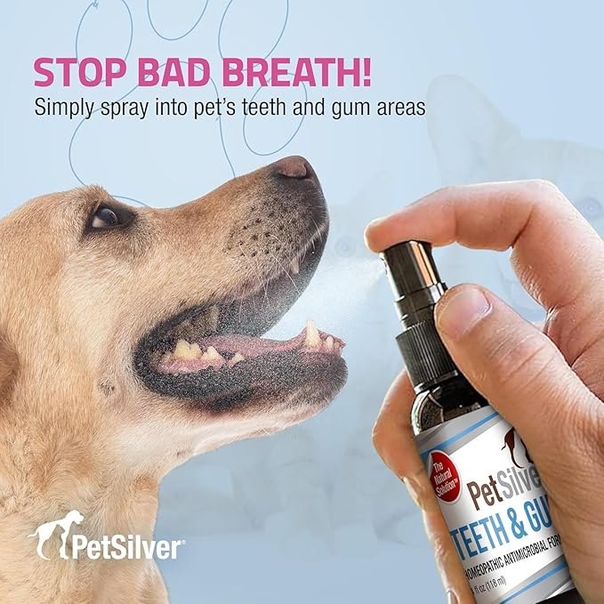 PetSilver Teeth & Gum Spray - Dog Dental & Teeth Cleaning Spray for Plaque & Tartar Build-Up Reduction - Natural Breath Freshener for Dogs & Cats - Patented Chelated Silver - Made in USA - 4oz, 2-Pack