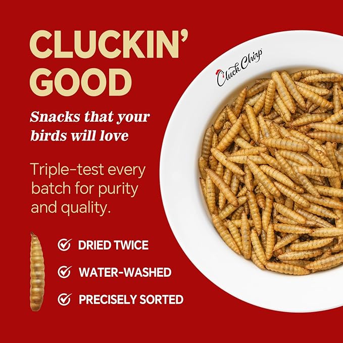 Dried Black Soldier Fly Larvae, Non-GMO, Natural Chicken Treats & High-Protein Poultry Snacks for Backyard Chickens, Laying Hens & Ducks, 5 lb Box