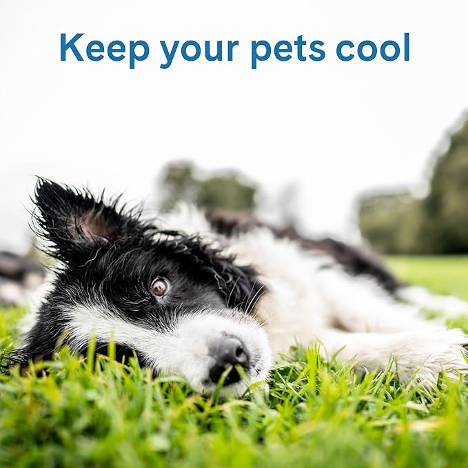 The Green Pet Shop Cool Pet Pad - Extra Small, Blue - Self-Cooling, Pressure Activated Mat for Dogs & Cats from 0-8 lbs - Non-Toxic Gel, No Water Needed