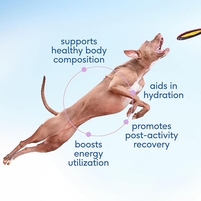 Native Pet The Daily Dog Supplement (30 Scoops) and Goat Milk Powder for Dogs and Cats (60 Scoops).- 11-in-1 Multivitamin and Food Topper to Support a Healthy Digestive System