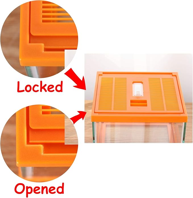 crapelles Reptile Terrarium kit Color Orange Spider Container Tarantula Box cage Gecko Habitat Insect Enclosure pet Tank Frog Carrier Tortoise Snail Container Hermit Crab House Cricket breeding