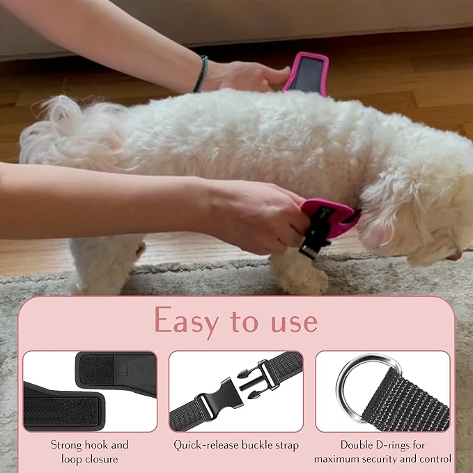 Comfort fit Step-in Dog & Puppy Harness - Comfortable All Weather Dog Vest Harness: Adjustable, Soft Padded, Easy to Put-on for Small, Medium-Sized Dogs.